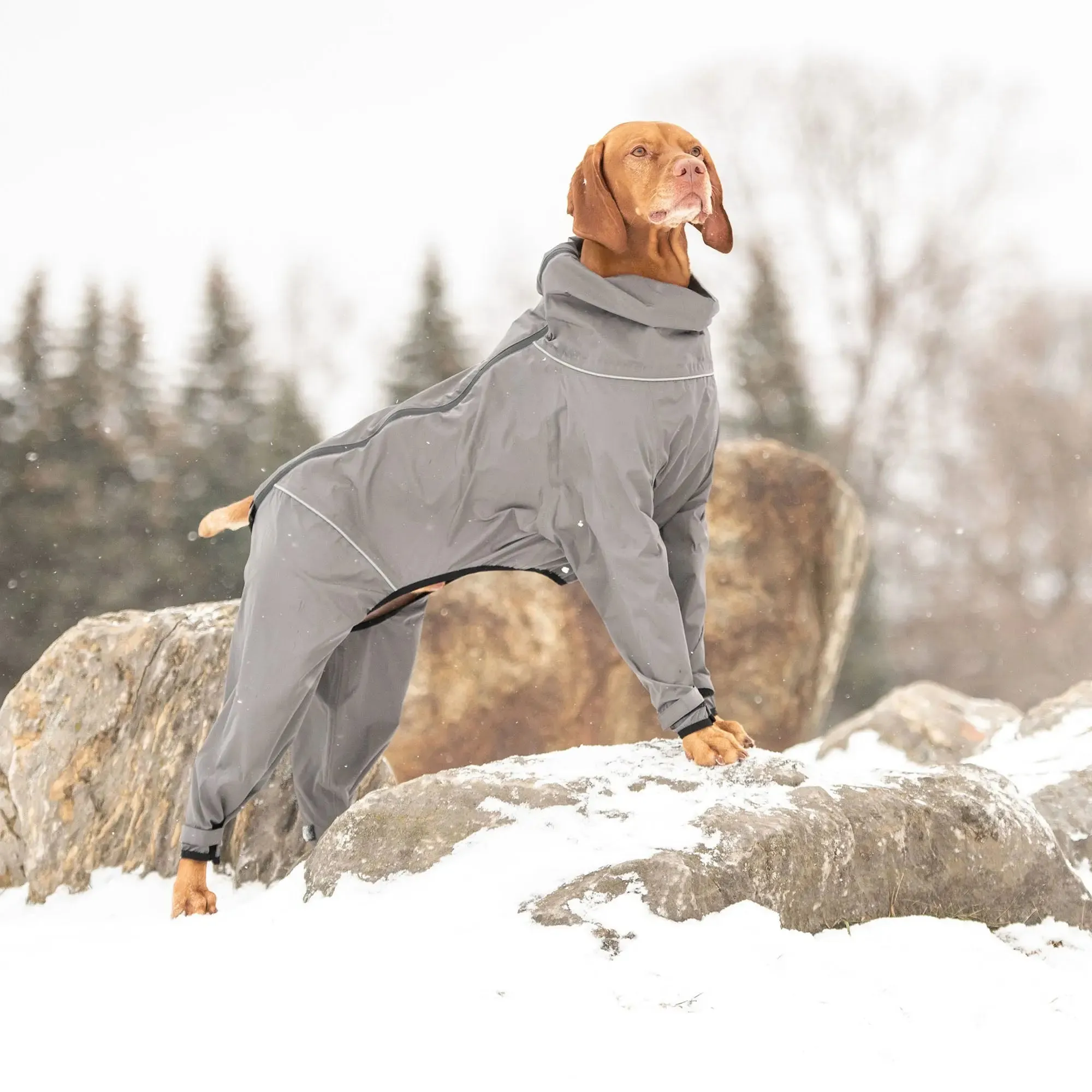 Dog Splash Suit | Charcoal