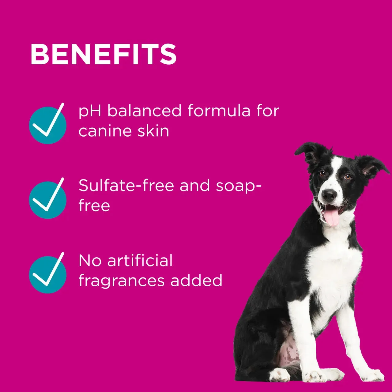 [GIFT]PAW by Blackmores - Conditioning & Grooming Spray 200ml (EXP: 23 Jul 2024)