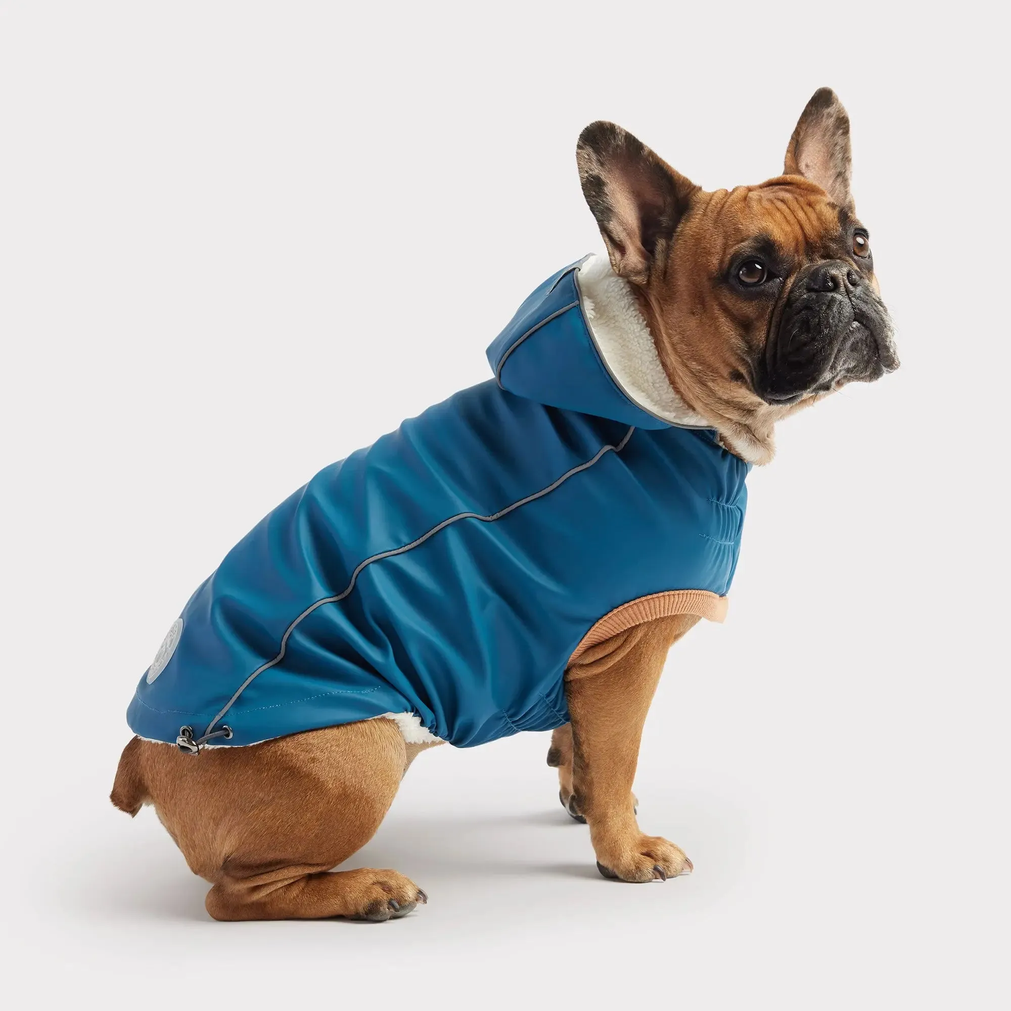 Insulated Dog Raincoat | Dark Blue