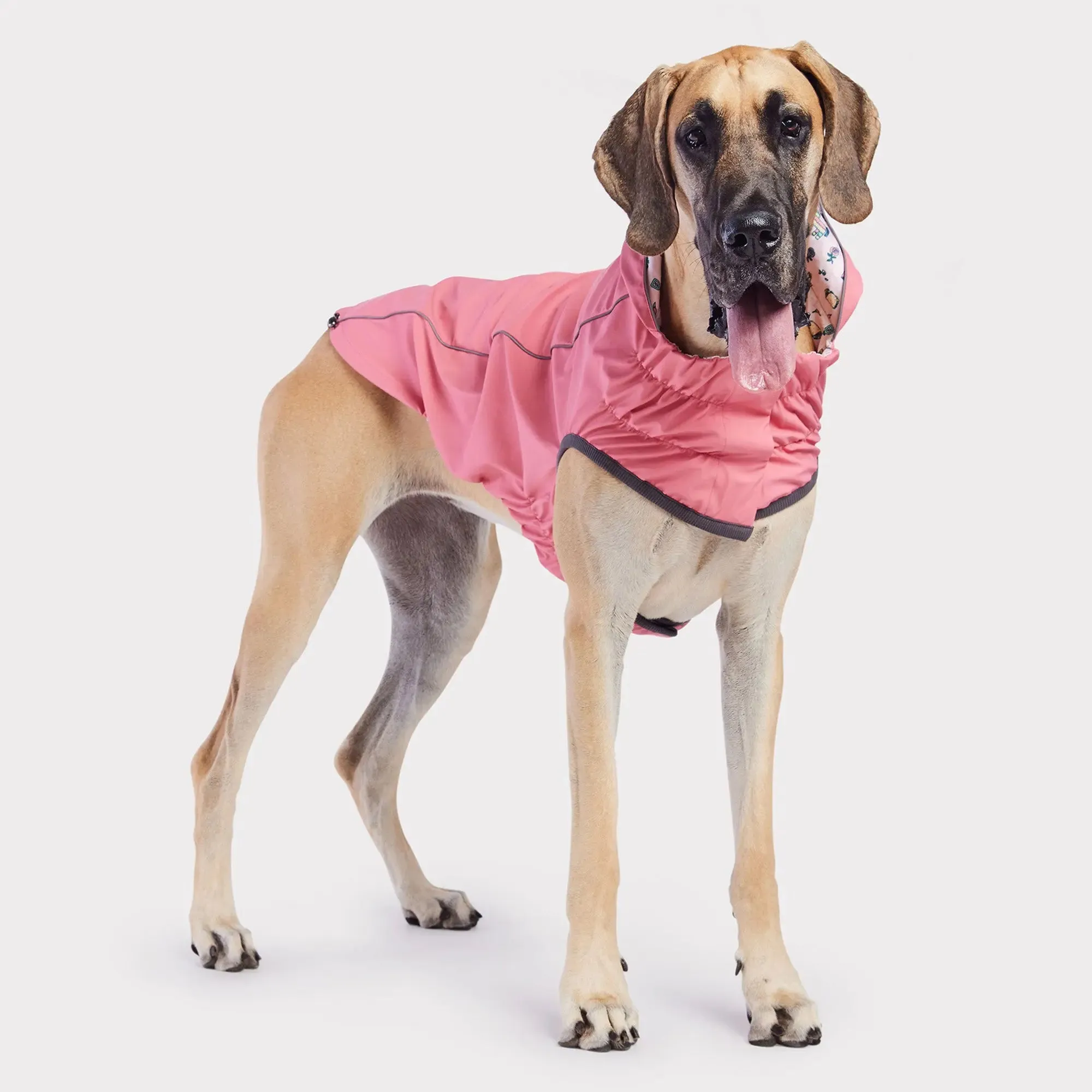 Reversible Dog Raincoat | Pink Fiesta