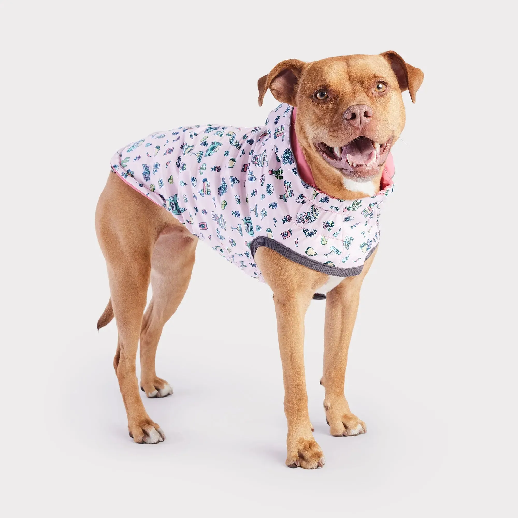 Reversible Dog Raincoat | Pink Fiesta