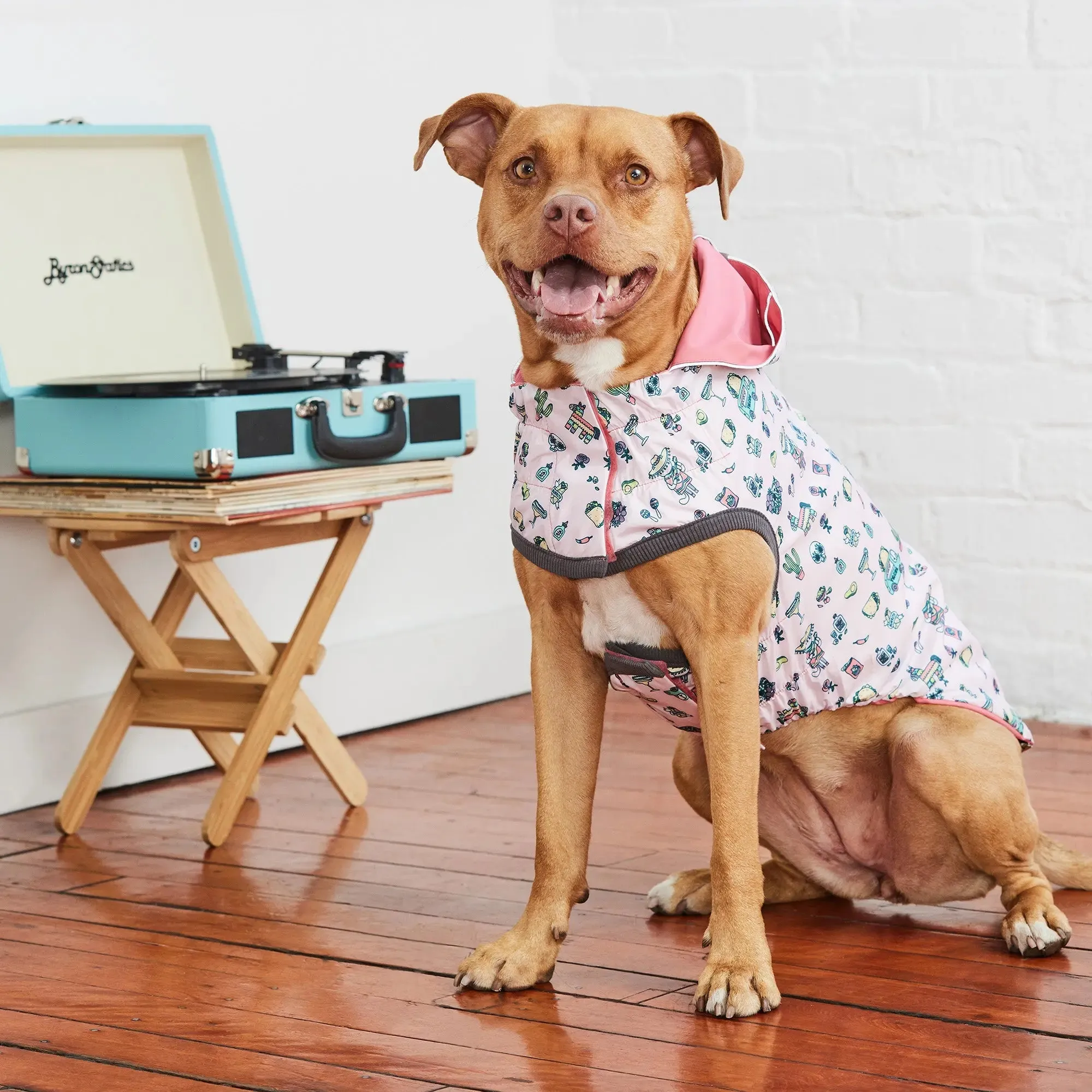Reversible Dog Raincoat | Pink Fiesta