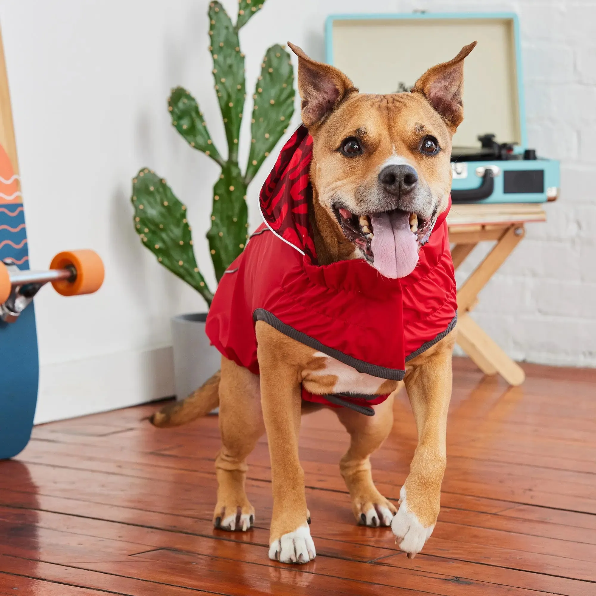 Reversible Dog Raincoat | Red Abstract