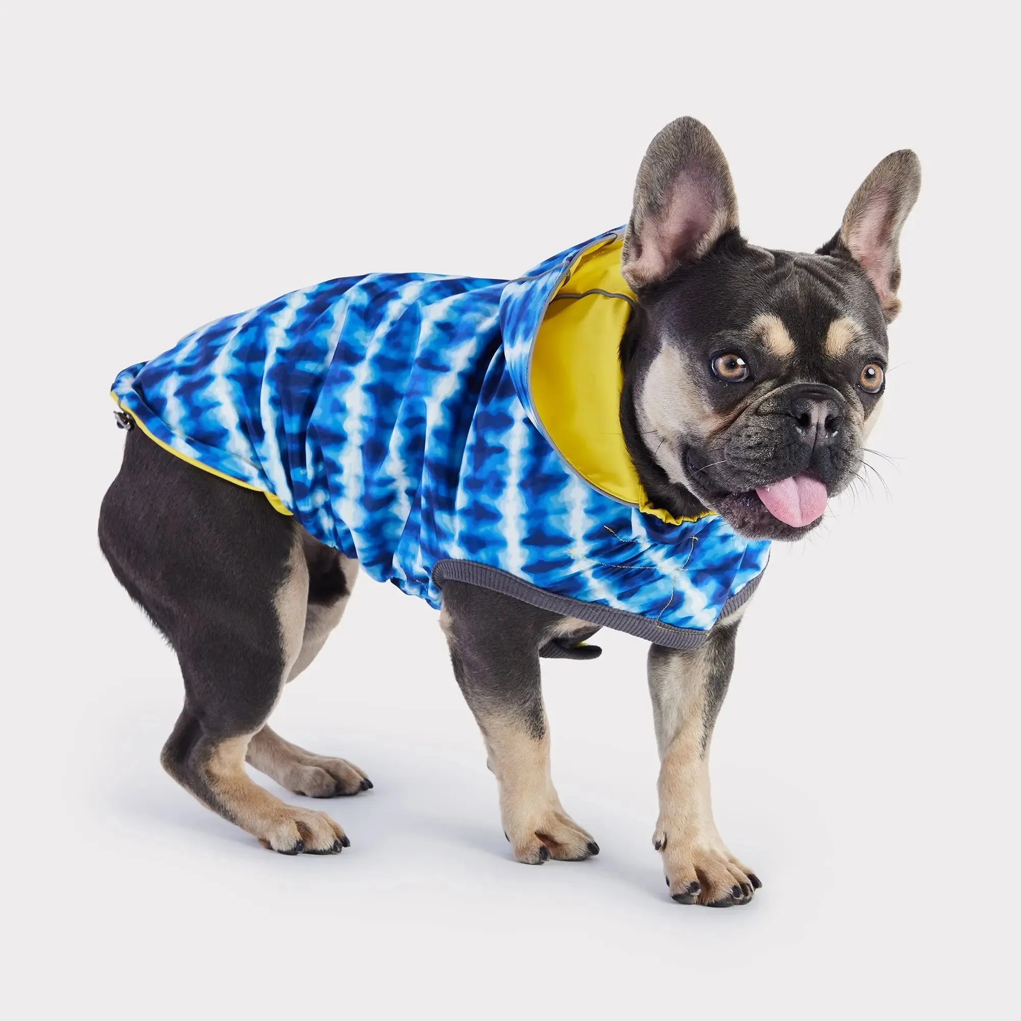 Reversible Dog Raincoat | Yellow Tie-Dye